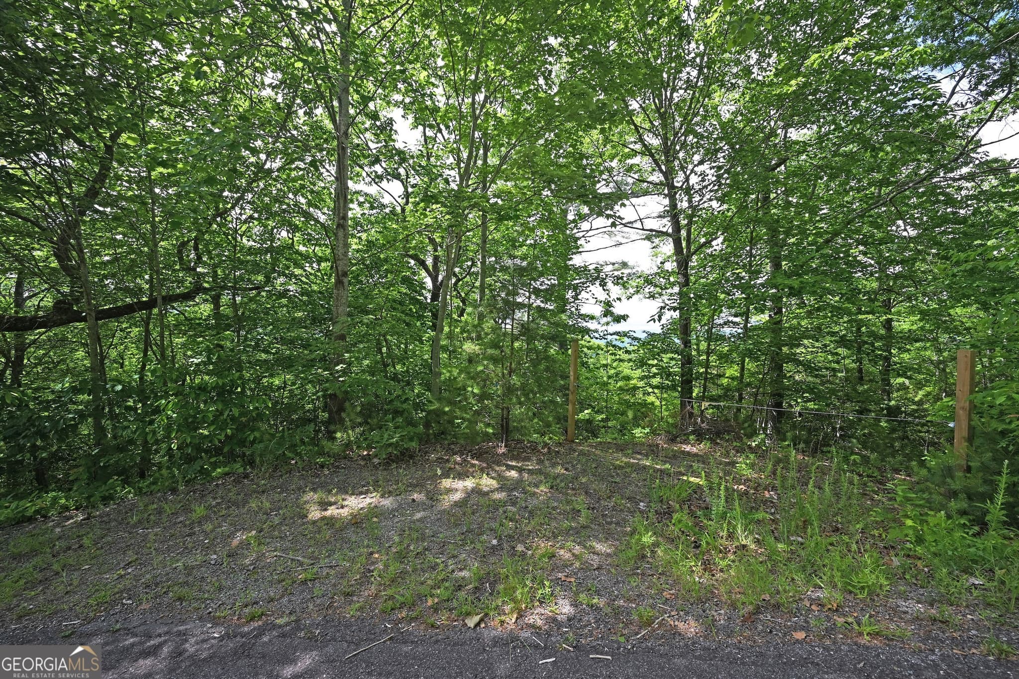 residential lot for sale at LOT 3 The Ridges, Hiawassee, GA 30546 — photo 5