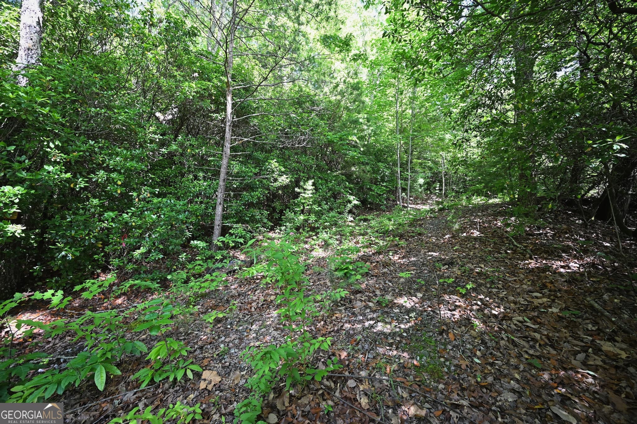 residential lot for sale at LOT 3 The Ridges, Hiawassee, GA 30546 — photo 10
