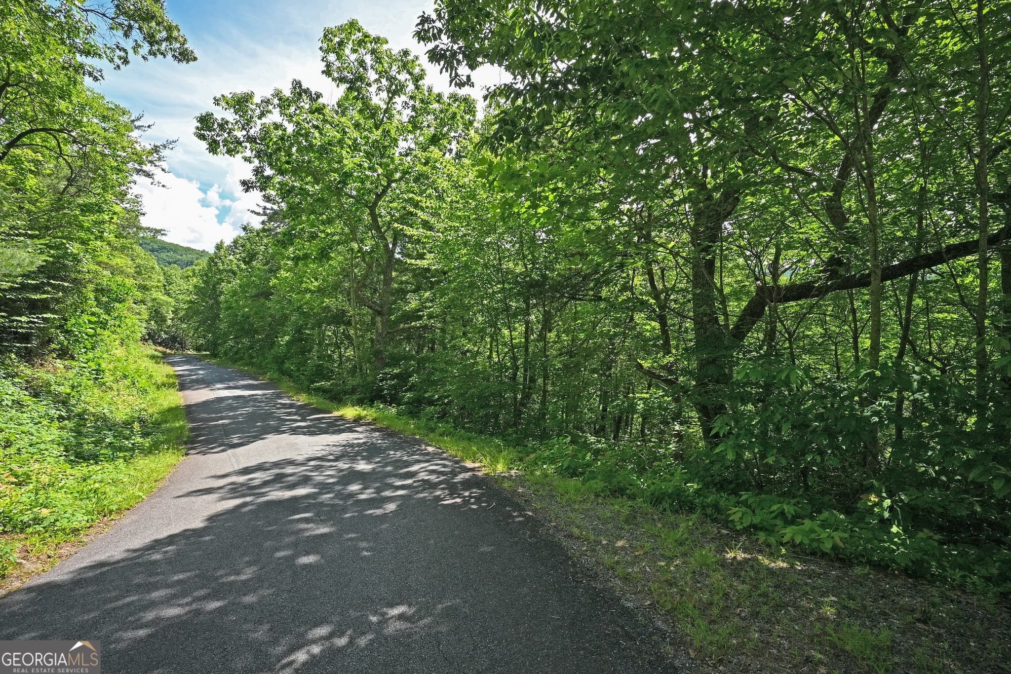 residential lot for sale at LOT 3 The Ridges, Hiawassee, GA 30546 — photo 4