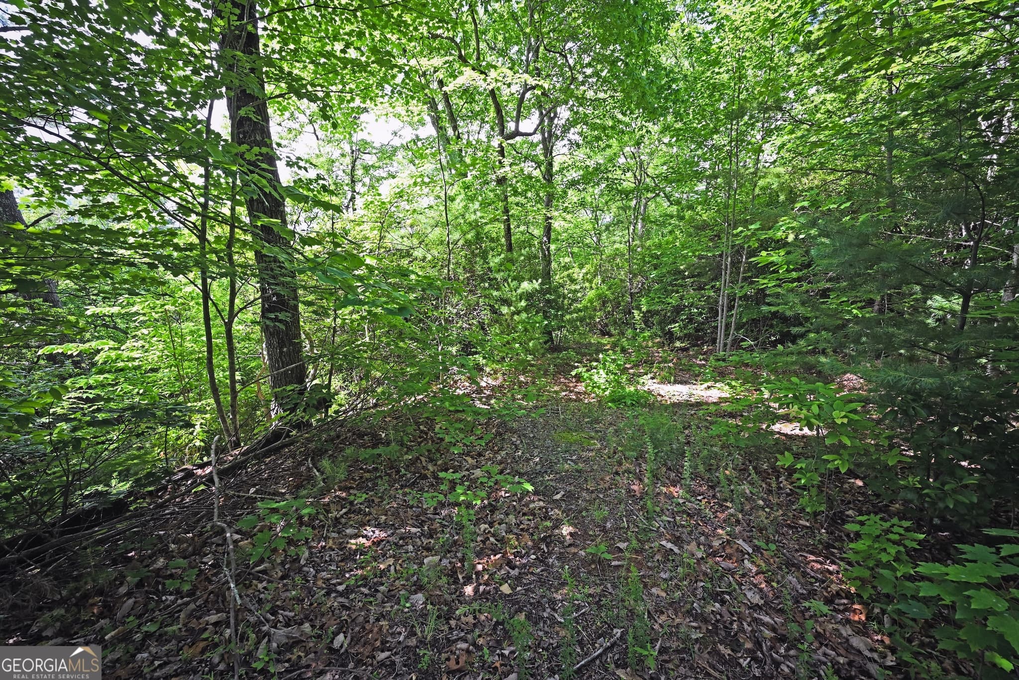 residential lot for sale at LOT 3 The Ridges, Hiawassee, GA 30546 — photo 8