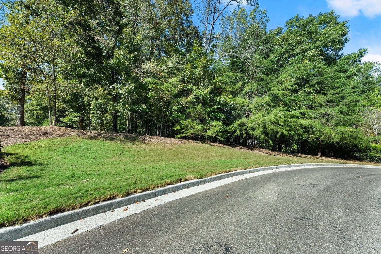 estate lot for sale at 4070 Summerhill Drive, Gainesville, GA 30506 — photo 6