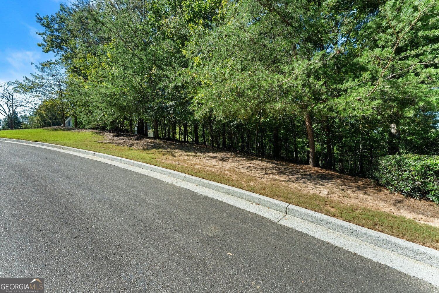 estate lot for sale at 4070 Summerhill Drive, Gainesville, GA 30506 — photo 7