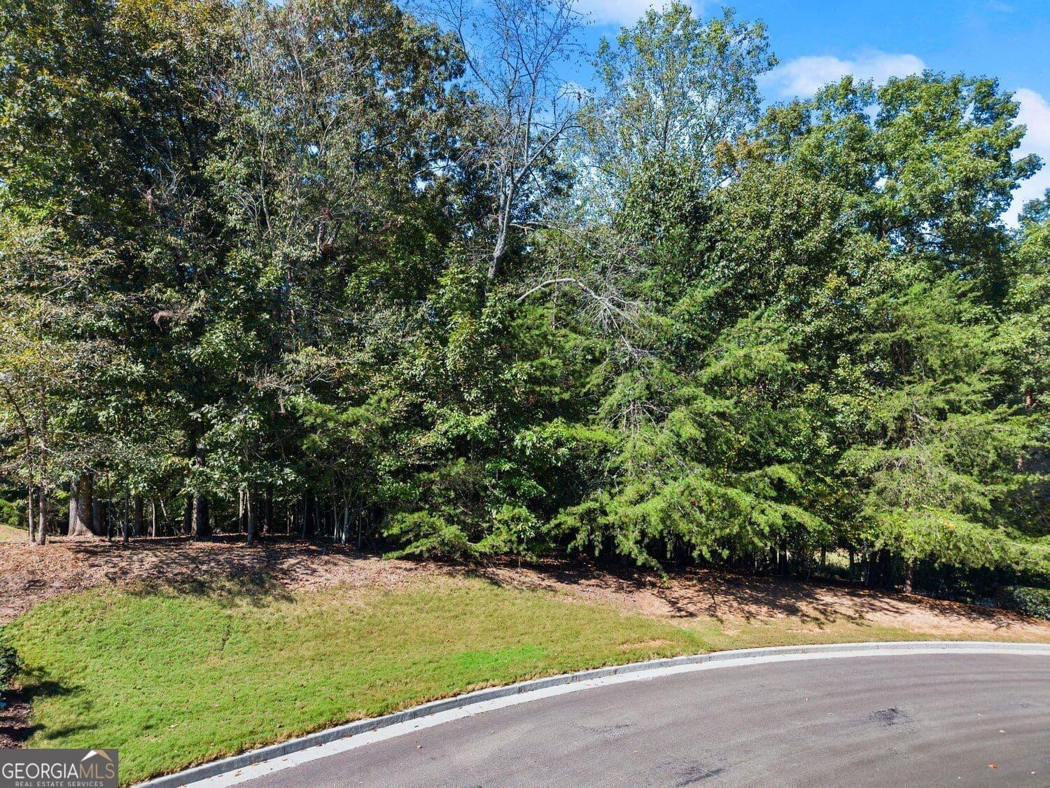 estate lot for sale at 4070 Summerhill Drive, Gainesville, GA 30506 — photo 3