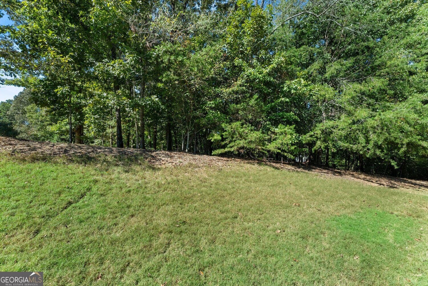 estate lot for sale at 4070 Summerhill Drive, Gainesville, GA 30506 — photo 5