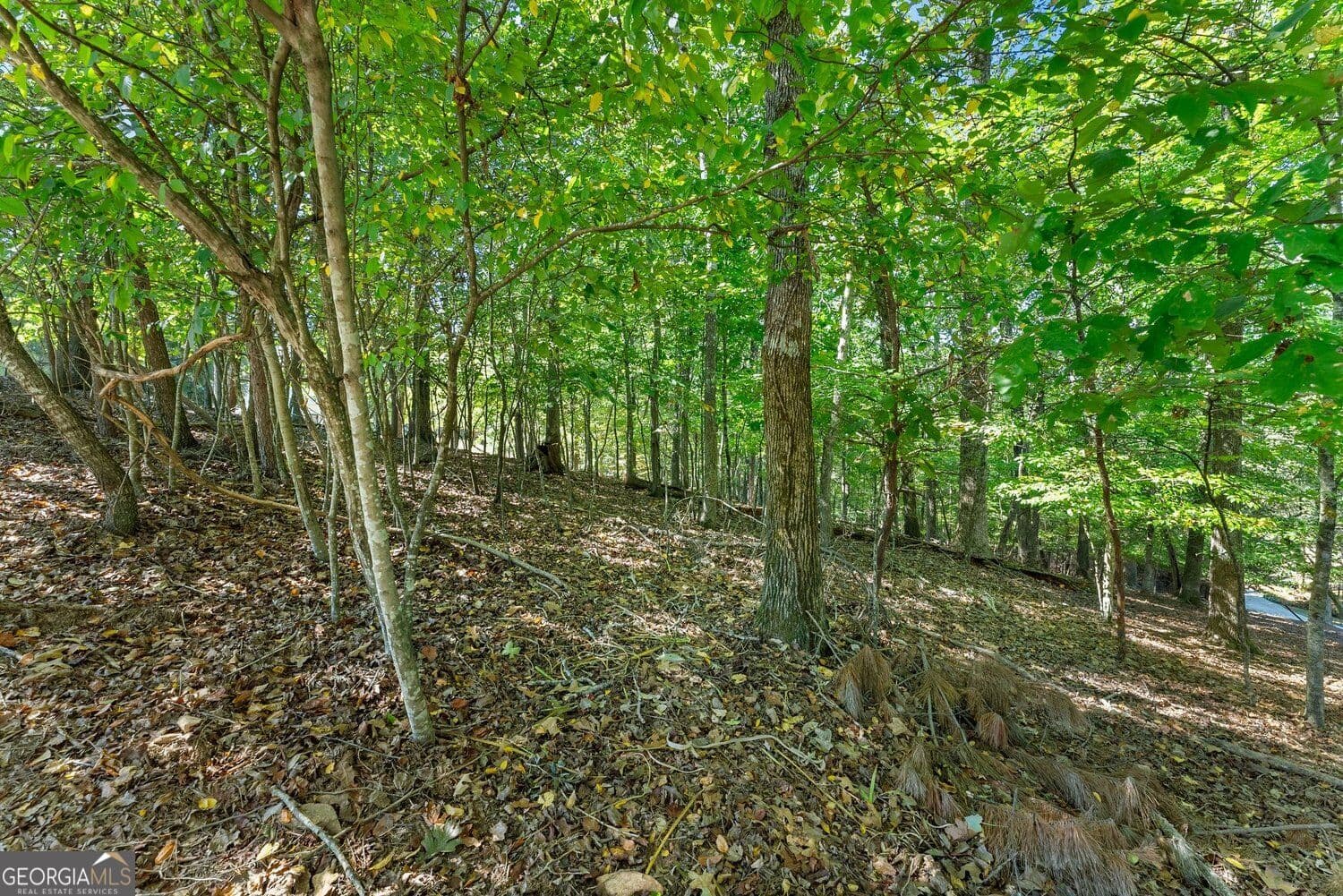 estate lot for sale at 4070 Summerhill Drive, Gainesville, GA 30506 — photo 4