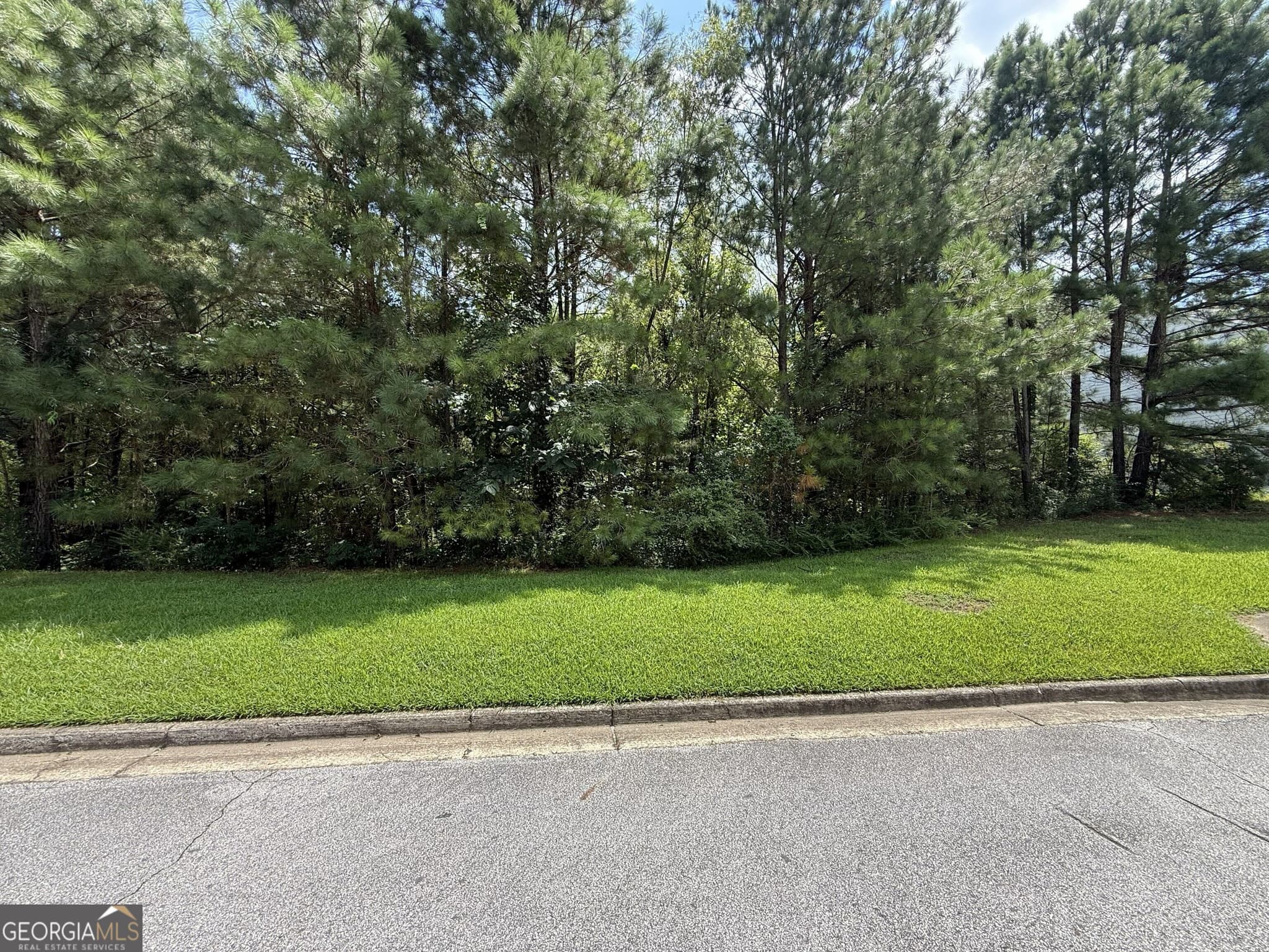 residential lot for sale at 439 Longwood Place, Dallas, GA 30132 — photo 1 of 4