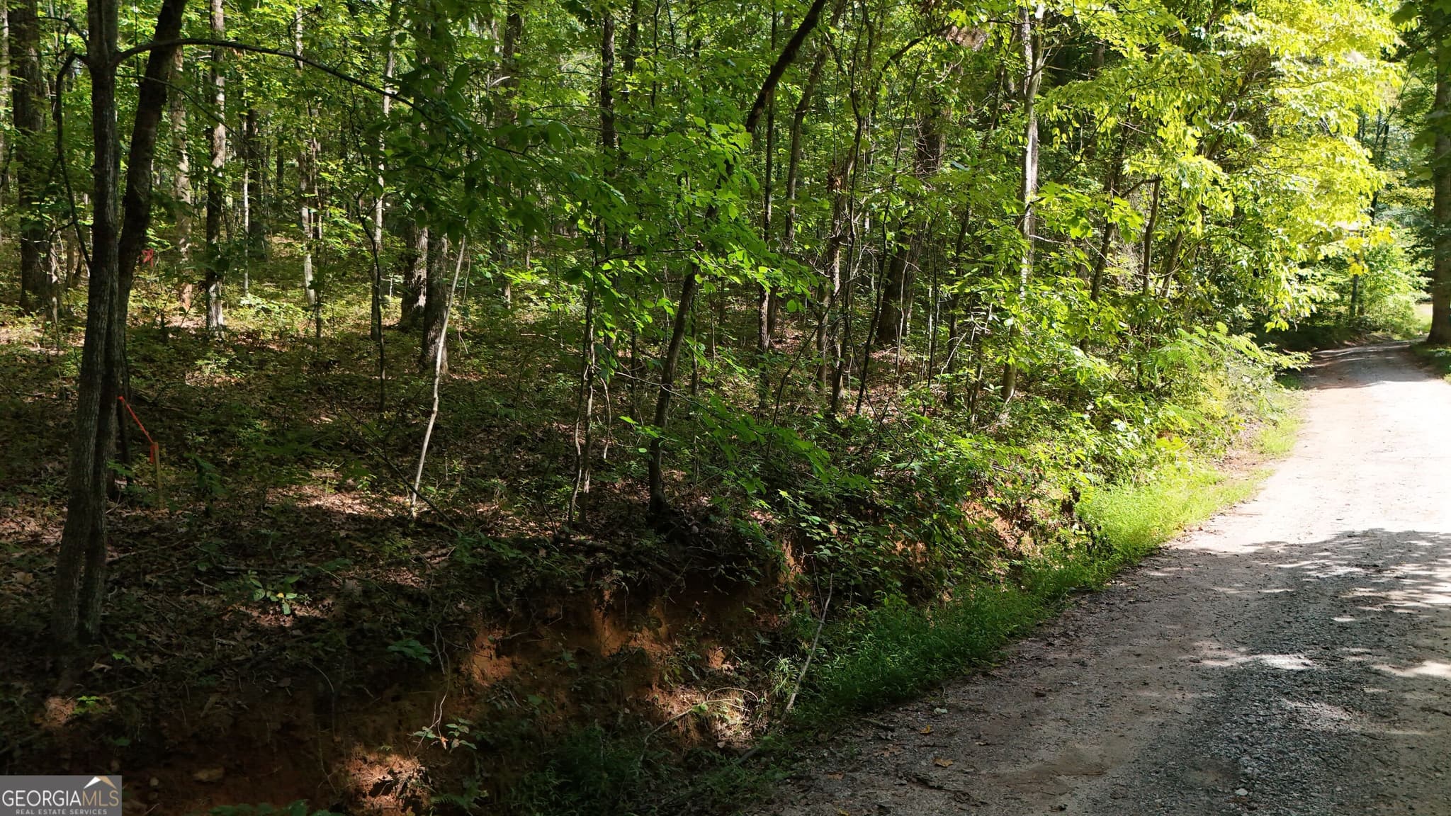 residential lot for sale at LOT 184 Hillside Drive, Clarkesville, GA 30523 — photo 2