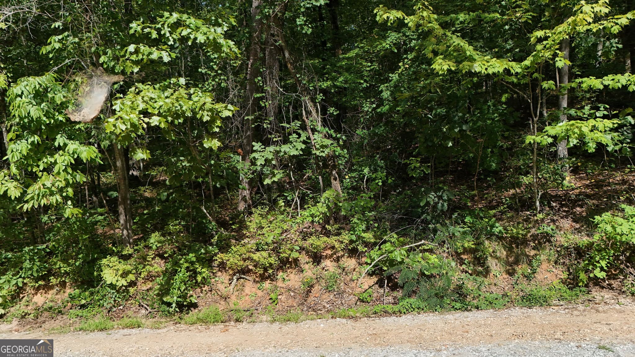 residential lot for sale at LOT 184 Hillside Drive, Clarkesville, GA 30523 — photo 3