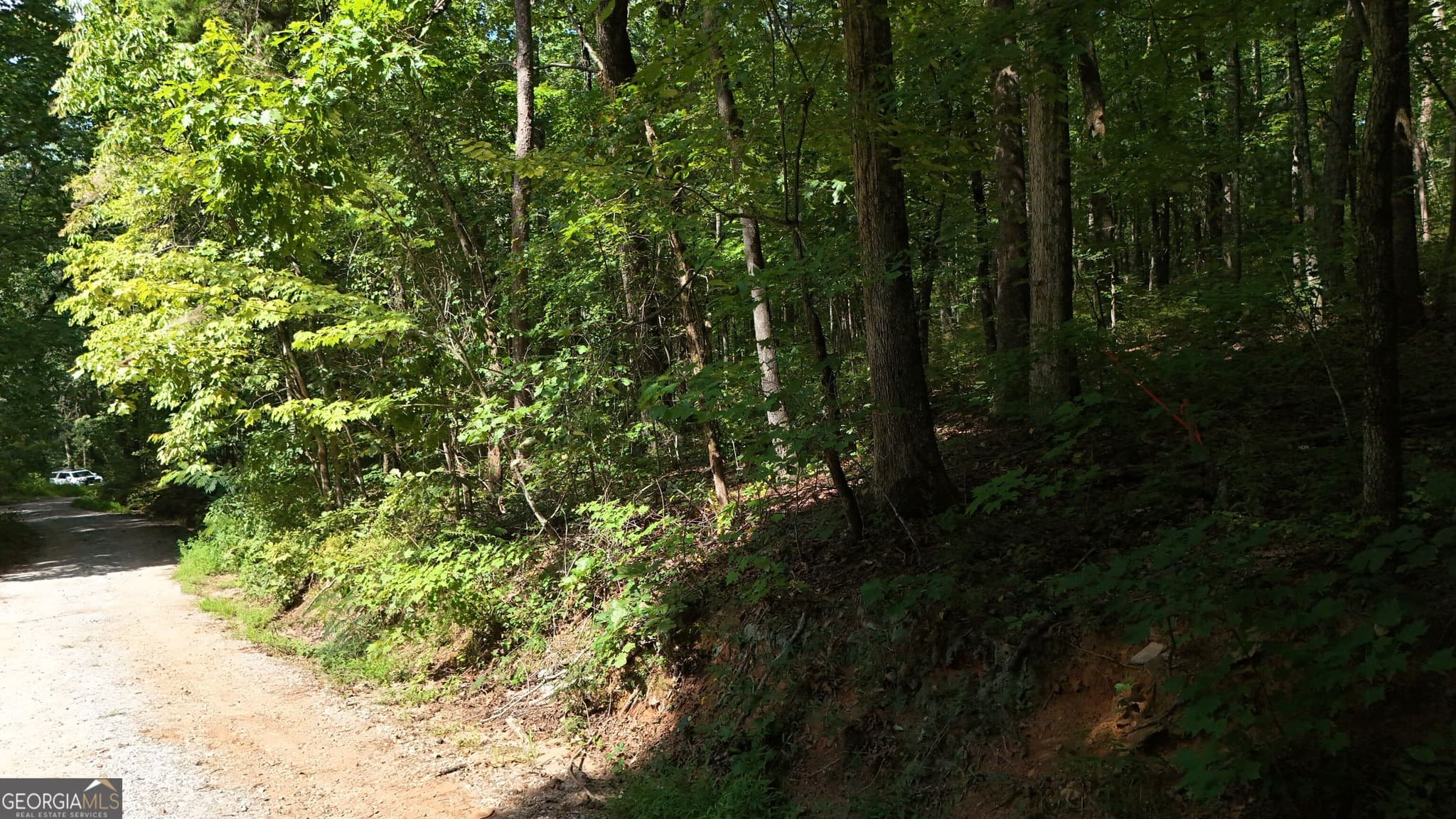 residential lot for sale at LOT 184 Hillside Drive, Clarkesville, GA 30523 — photo 4