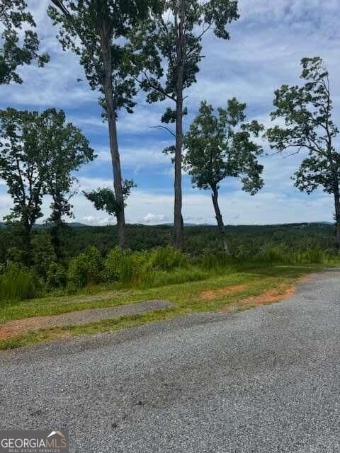 residential lot for sale at LOT 104 River Knoll Trail, Ellijay, GA 30540 — photo 6