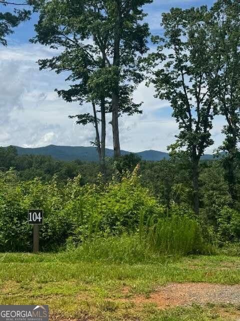 residential lot for sale at LOT 104 River Knoll Trail, Ellijay, GA 30540 — photo 7
