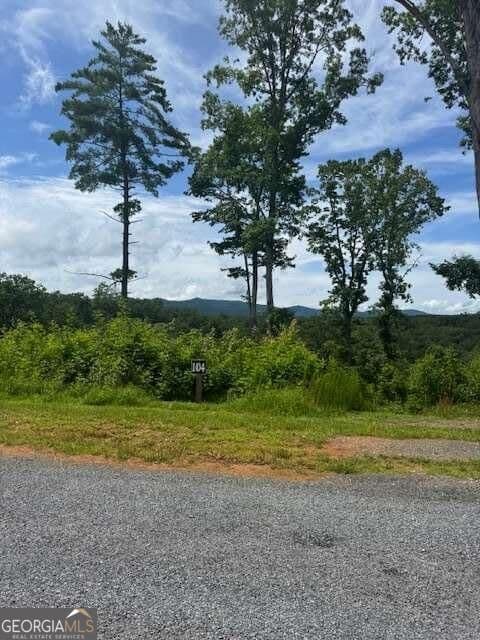 residential lot for sale at LOT 104 River Knoll Trail, Ellijay, GA 30540 — photo 5