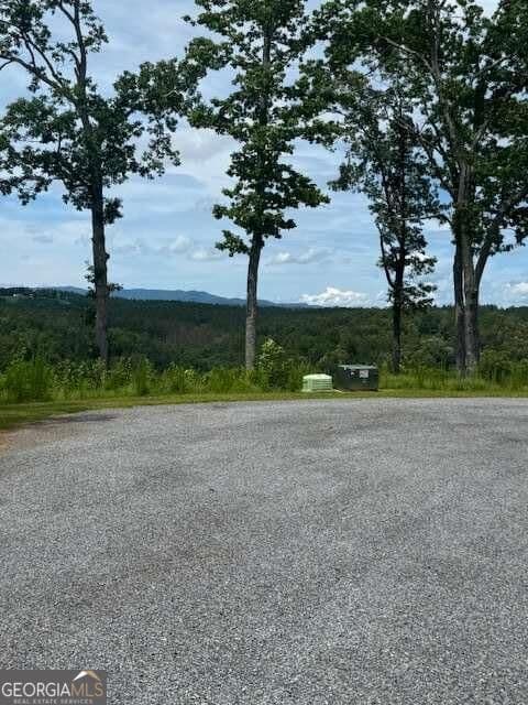 residential lot for sale at LOT 104 River Knoll Trail, Ellijay, GA 30540 — photo 9