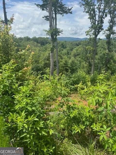 residential lot for sale at LOT 104 River Knoll Trail, Ellijay, GA 30540 — photo 10