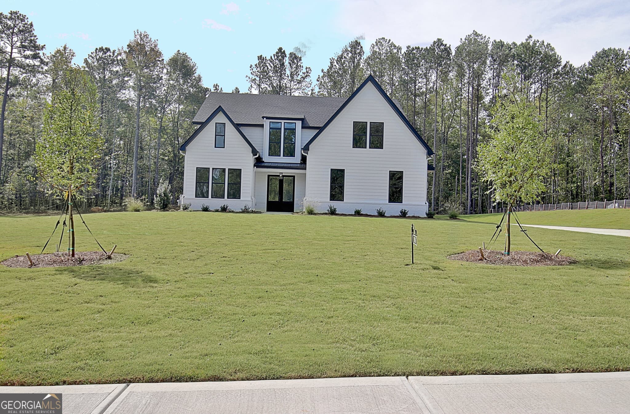 4 bedroom, 4 bathroom, 3,113 sq ft single family residence for sale at 188 Ryeland Drive, Senoia, GA 30276 — photo 3