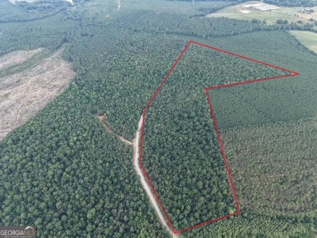 unimproved land for sale at 2 Bethesda Church Road, Lexington, GA 30648 — photo 2