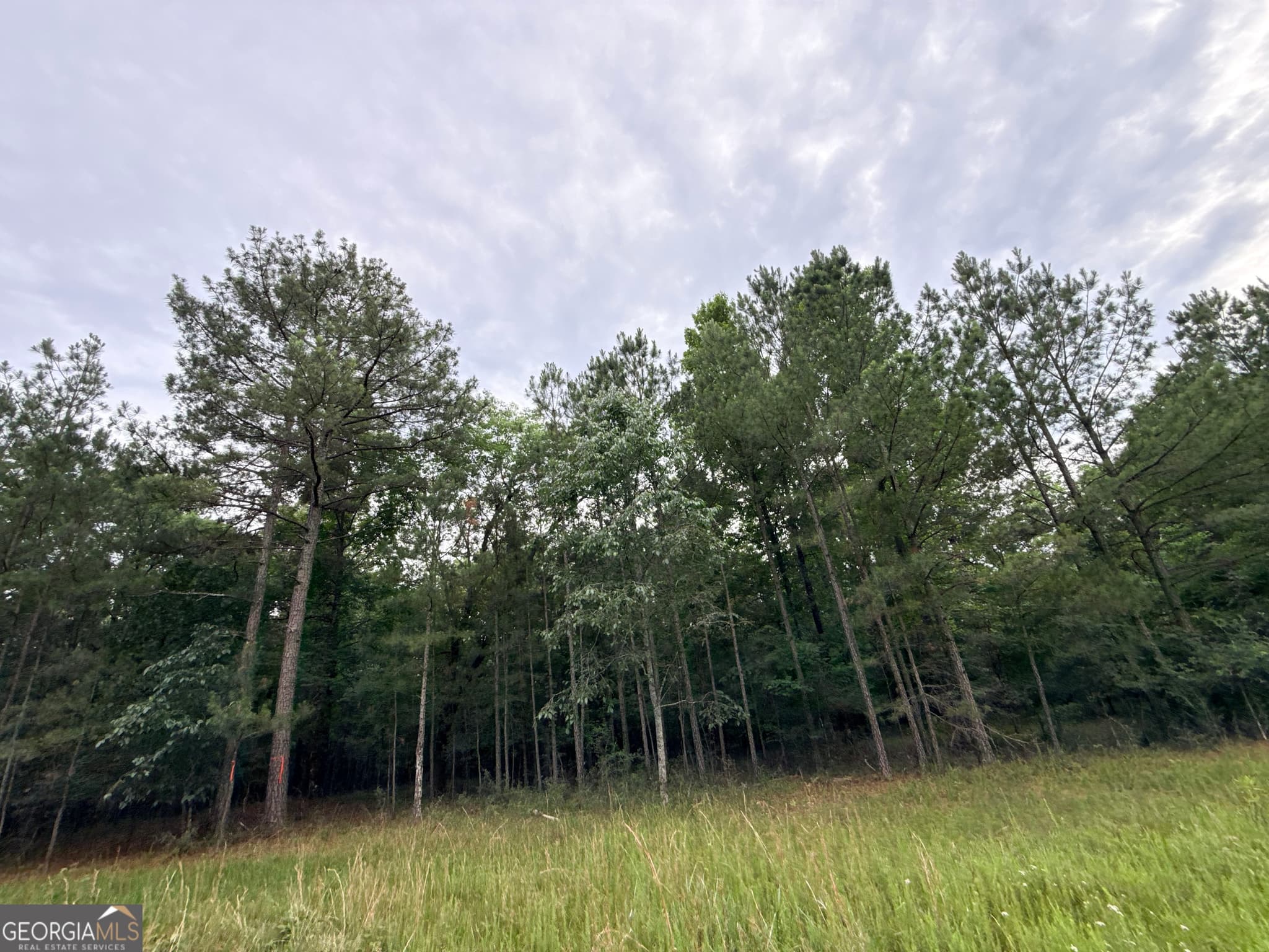 unimproved land for sale at 2 Bethesda Church Road, Lexington, GA 30648 — photo 6