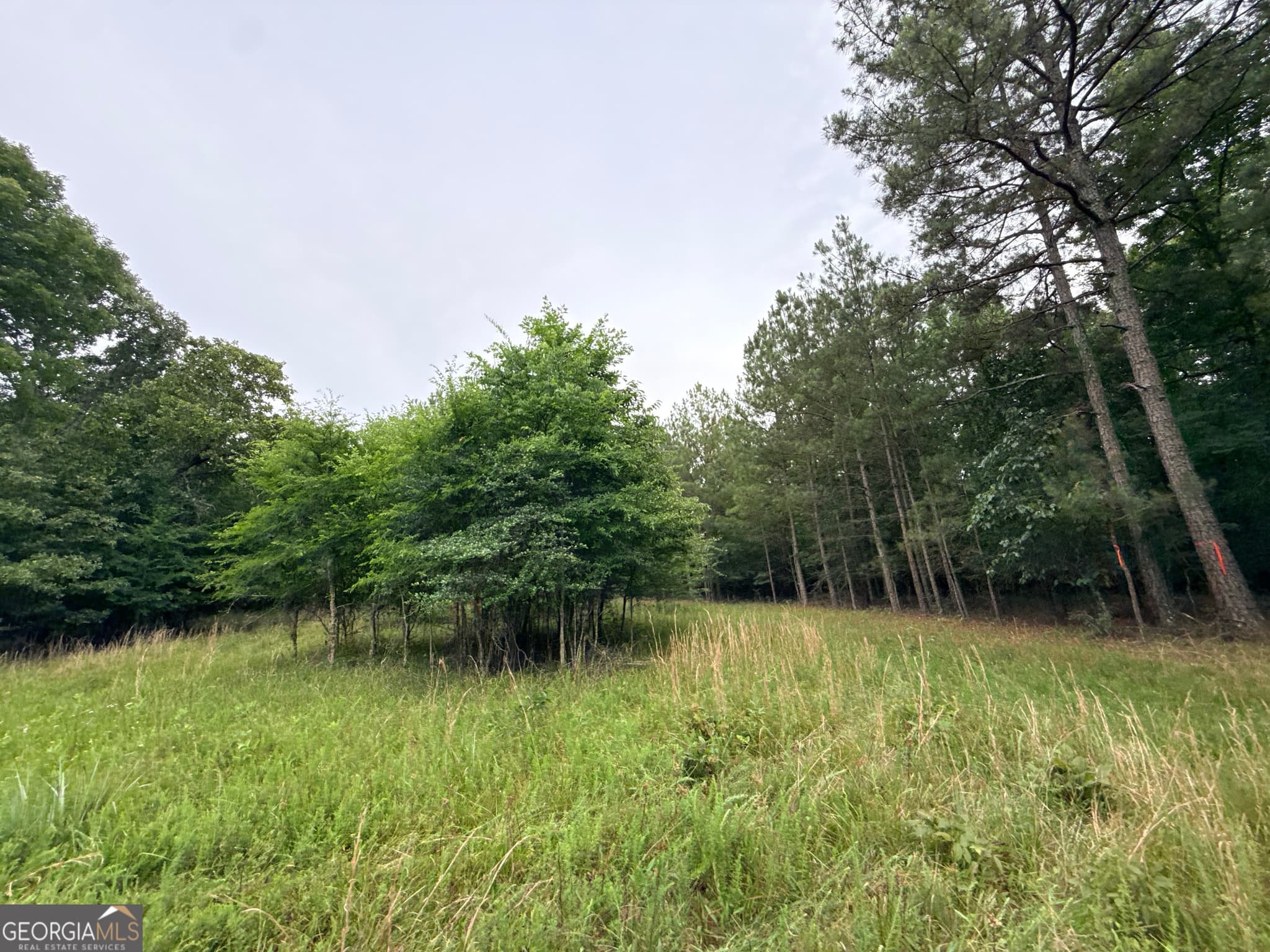 unimproved land for sale at 2 Bethesda Church Road, Lexington, GA 30648 — photo 7