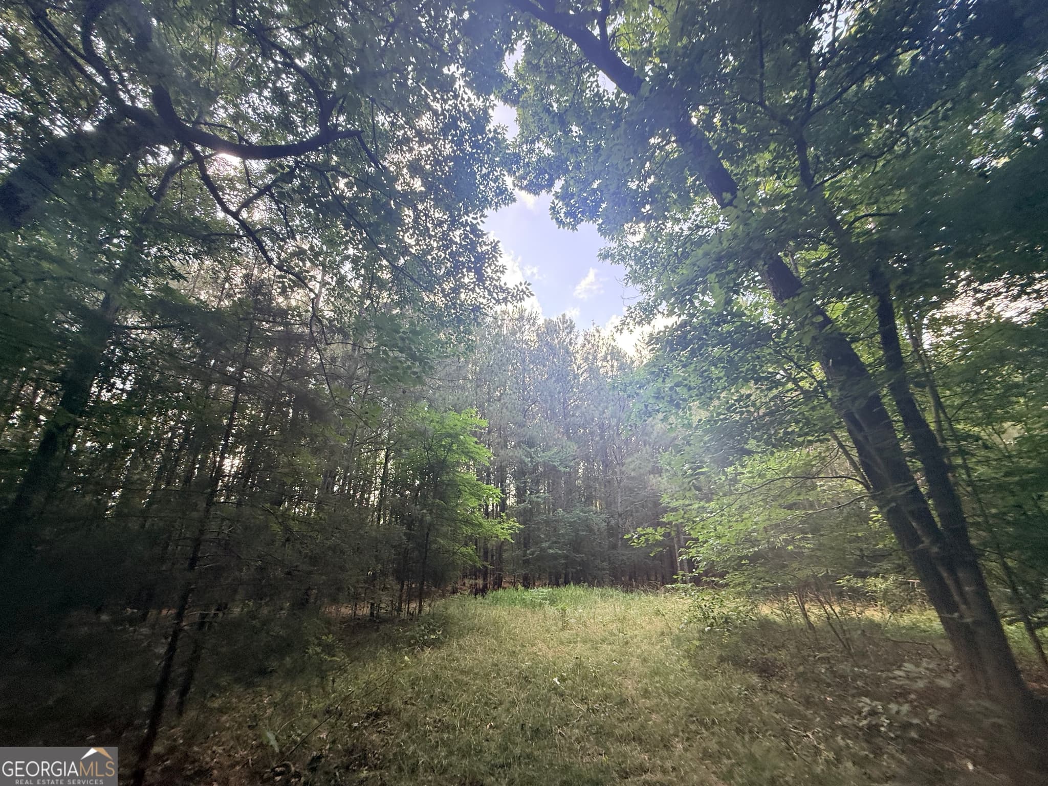 unimproved land for sale at 2 Bethesda Church Road, Lexington, GA 30648 — photo 3