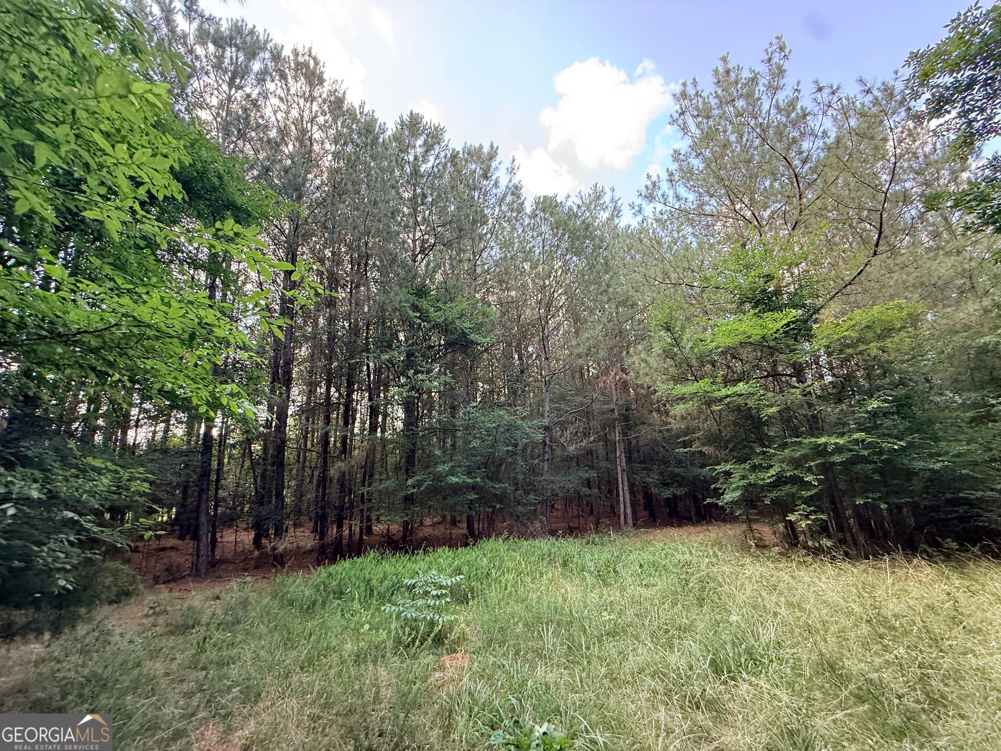 unimproved land for sale at 2 Bethesda Church Road, Lexington, GA 30648 — photo 1 of 73