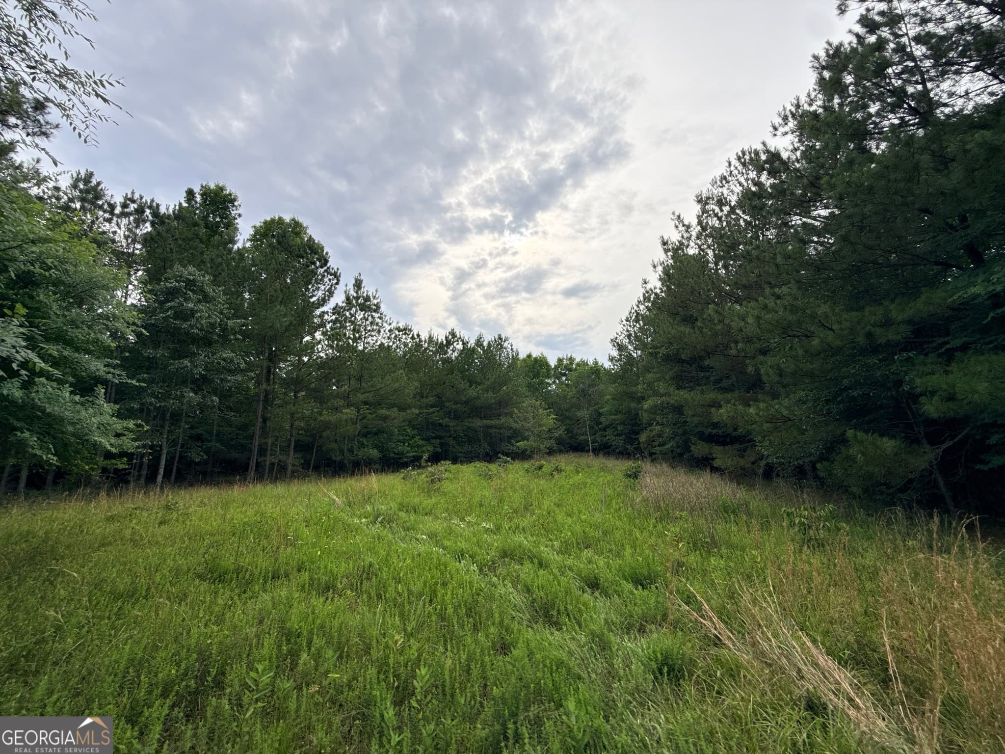 unimproved land for sale at 2 Bethesda Church Road, Lexington, GA 30648 — photo 5