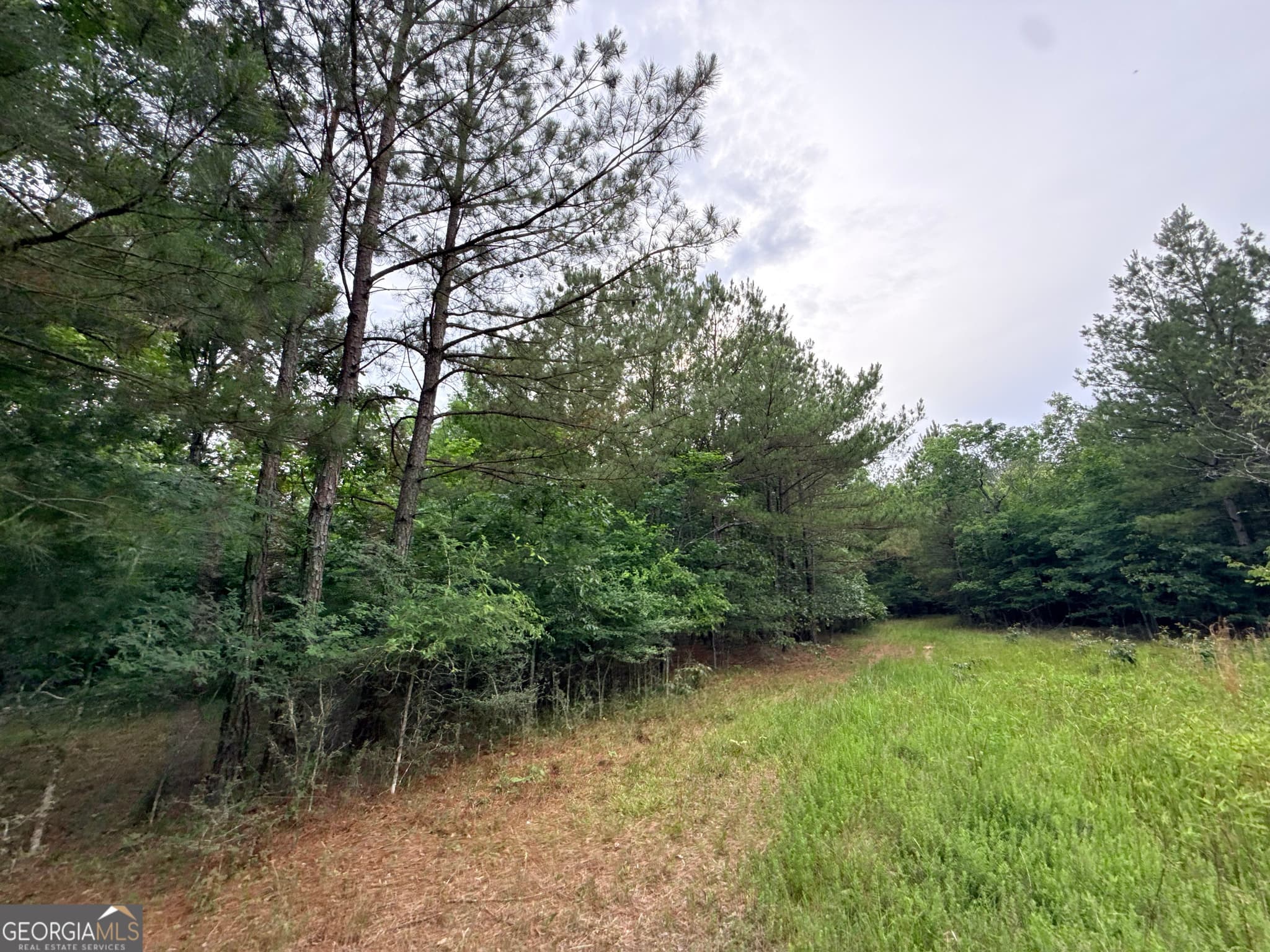 unimproved land for sale at 2 Bethesda Church Road, Lexington, GA 30648 — photo 9