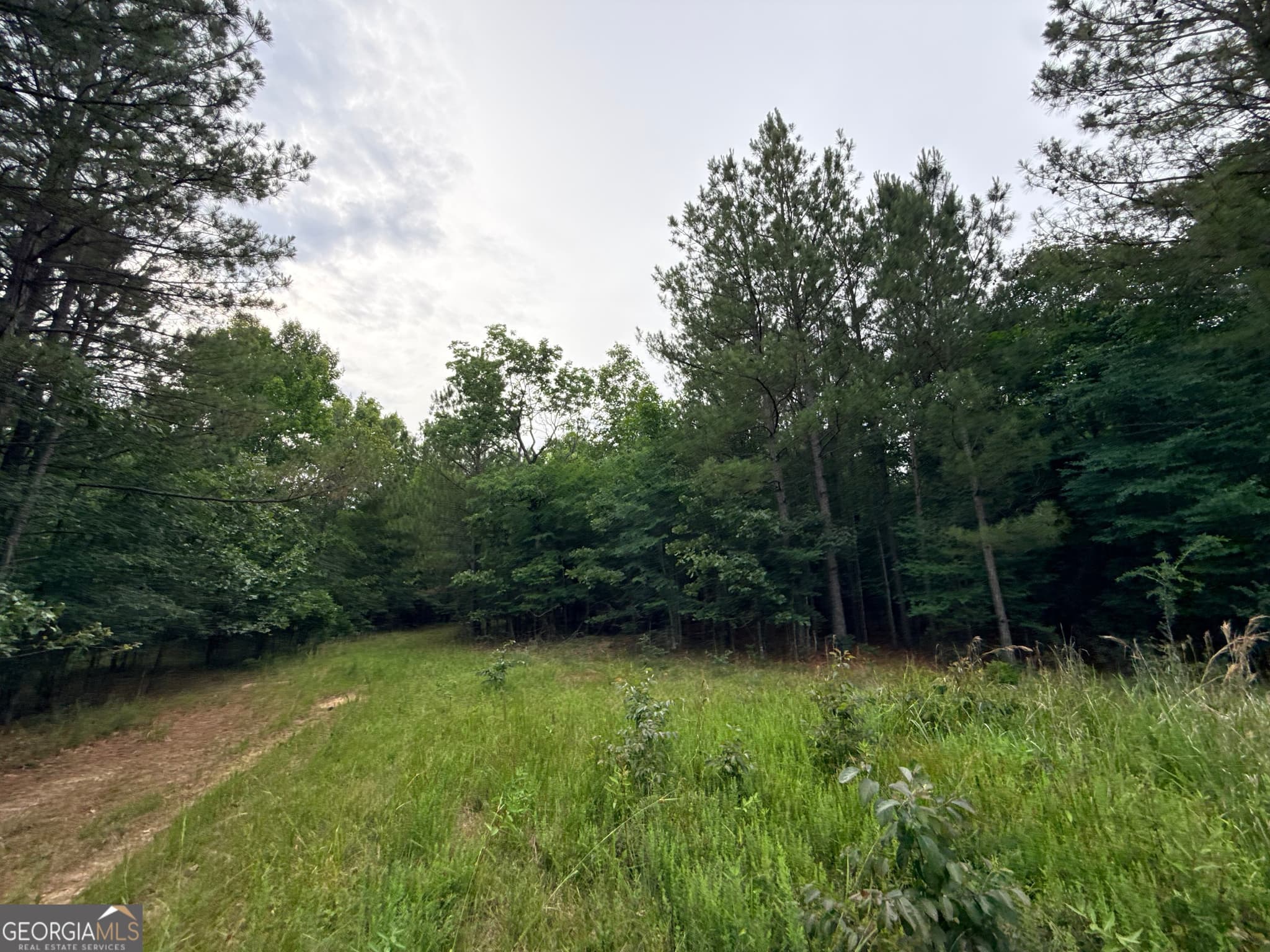 unimproved land for sale at 2 Bethesda Church Road, Lexington, GA 30648 — photo 10