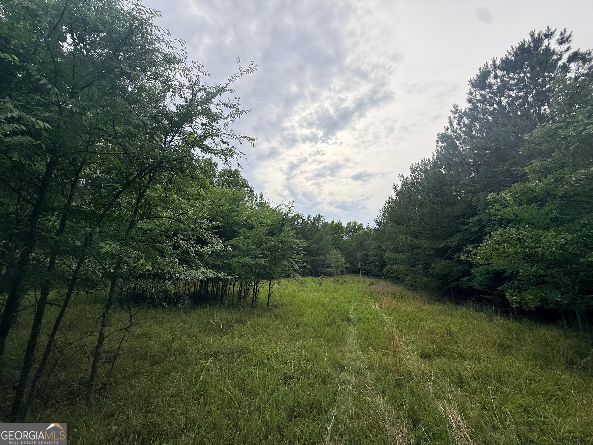 unimproved land for sale at 2 Bethesda Church Road, Lexington, GA 30648 — photo 4