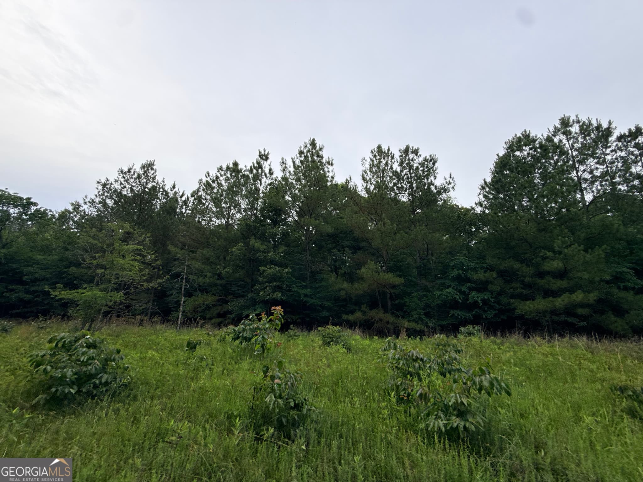 unimproved land for sale at 2 Bethesda Church Road, Lexington, GA 30648 — photo 8