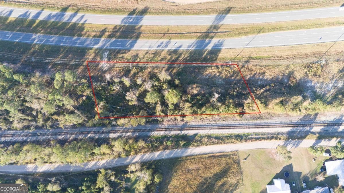 unimproved land for sale at 0 Hwy 341, Baxley, GA 31513 — photo 2