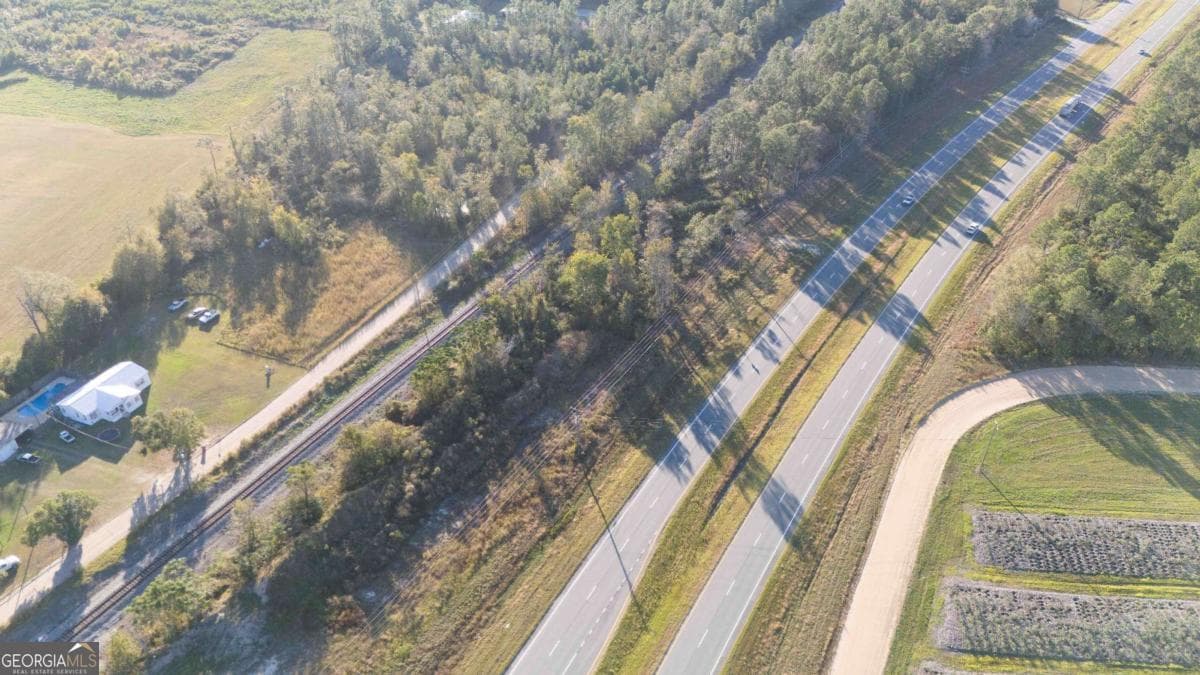 unimproved land for sale at 0 Hwy 341, Baxley, GA 31513 — photo 6