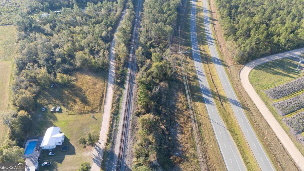 unimproved land for sale at 0 Hwy 341, Baxley, GA 31513 — photo 3