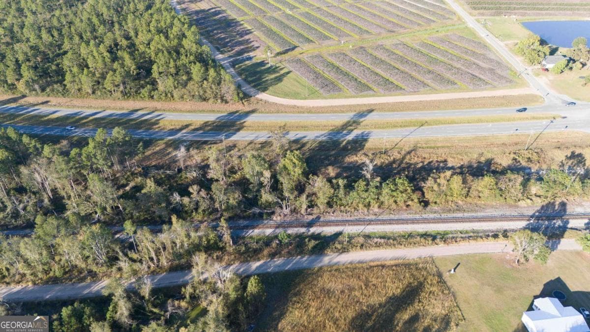unimproved land for sale at 0 Hwy 341, Baxley, GA 31513 — photo 4