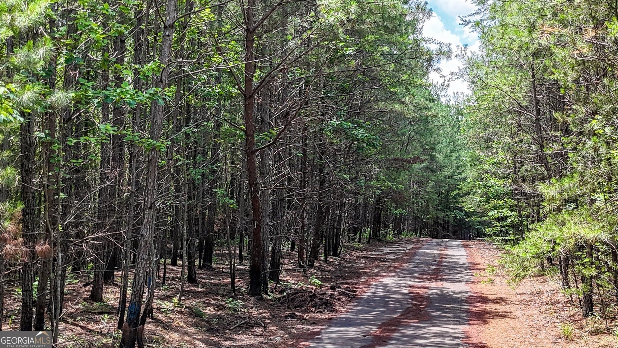 residential lot for sale at 47 Lot LOT 47, Rockmart, GA 30153 — photo 2