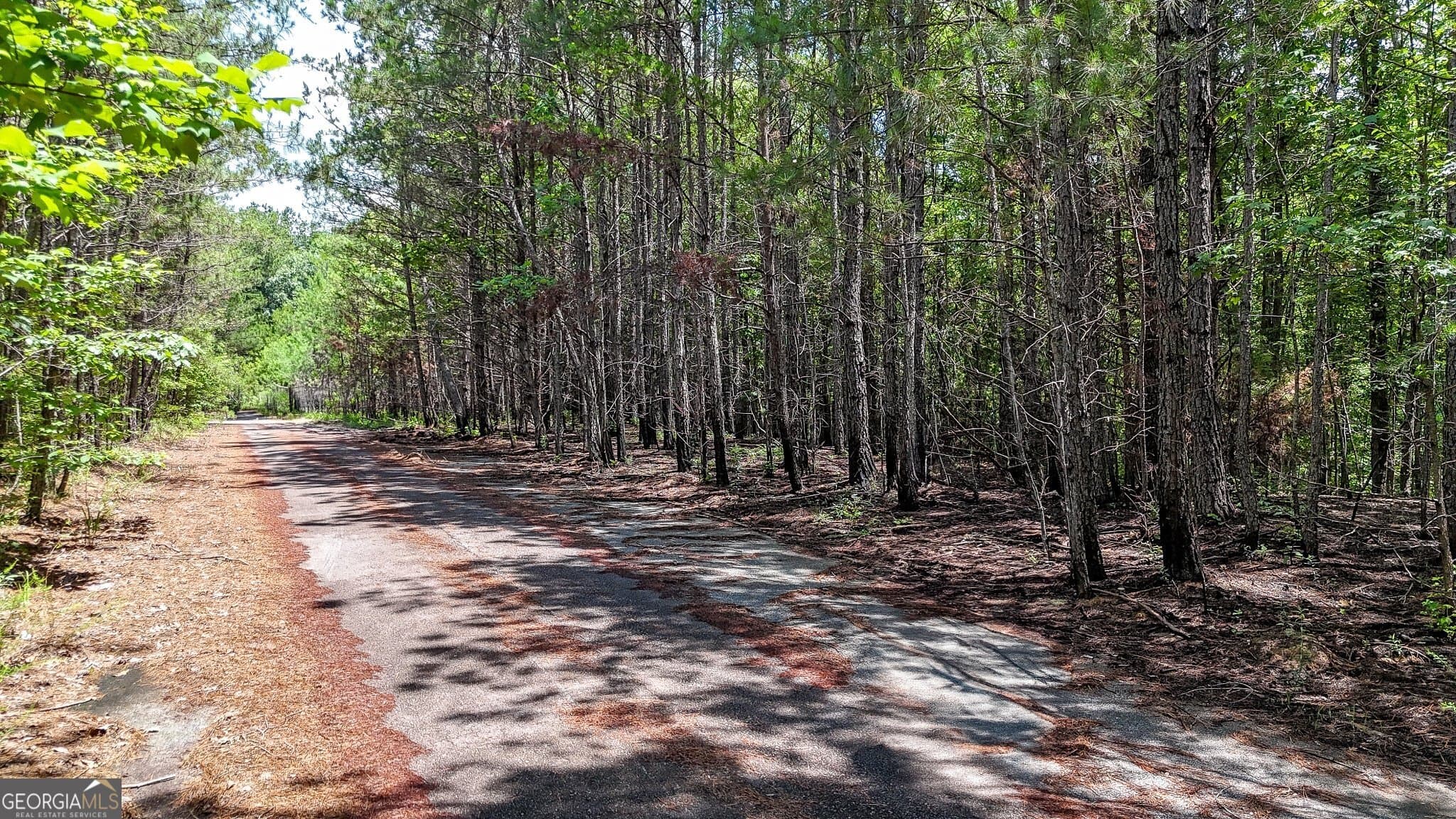 residential lot for sale at 47 Lot LOT 47, Rockmart, GA 30153 — photo 3