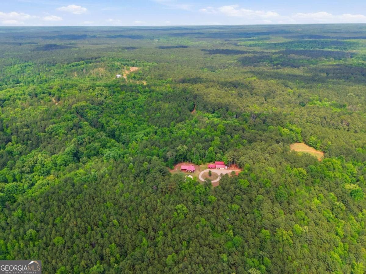 agriculture for sale at 2630 Cold Springs Road, Greensboro, GA 30642 — photo 7