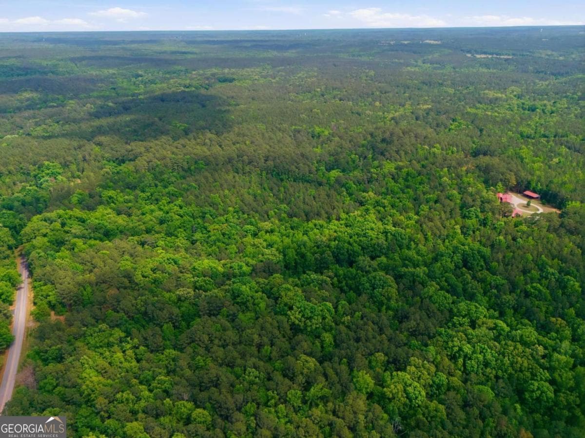 agriculture for sale at 2630 Cold Springs Road, Greensboro, GA 30642 — photo 3