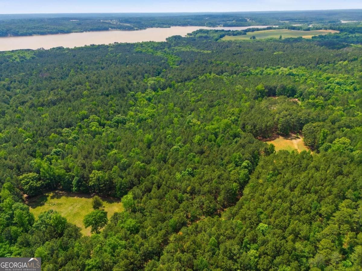 agriculture for sale at 2630 Cold Springs Road, Greensboro, GA 30642 — photo 1 of 19