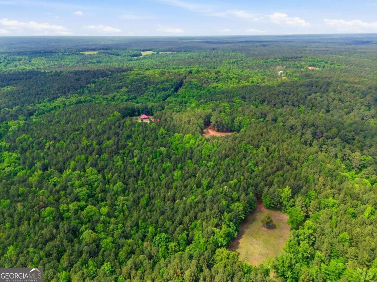 agriculture for sale at 2630 Cold Springs Road, Greensboro, GA 30642 — photo 9