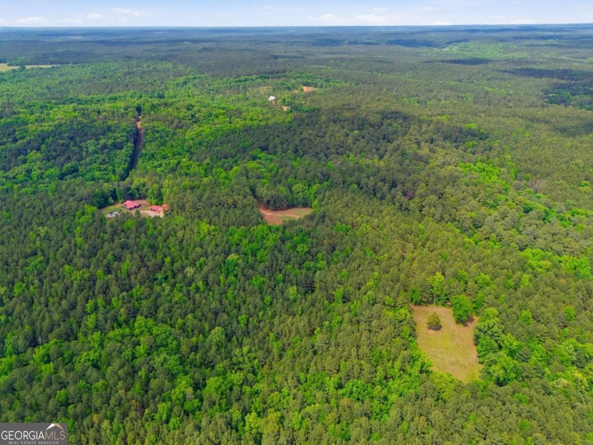 agriculture for sale at 2630 Cold Springs Road, Greensboro, GA 30642 — photo 8