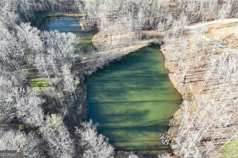 residential lot for sale at LOT 23 Long Mountain Trail, Cleveland, GA 30528 — photo 6