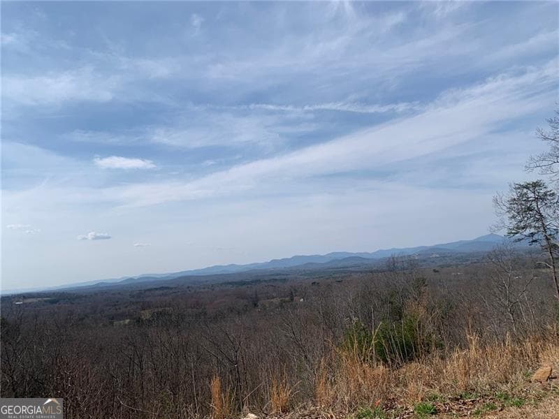 residential lot for sale at LOT 23 Long Mountain Trail, Cleveland, GA 30528 — photo 7