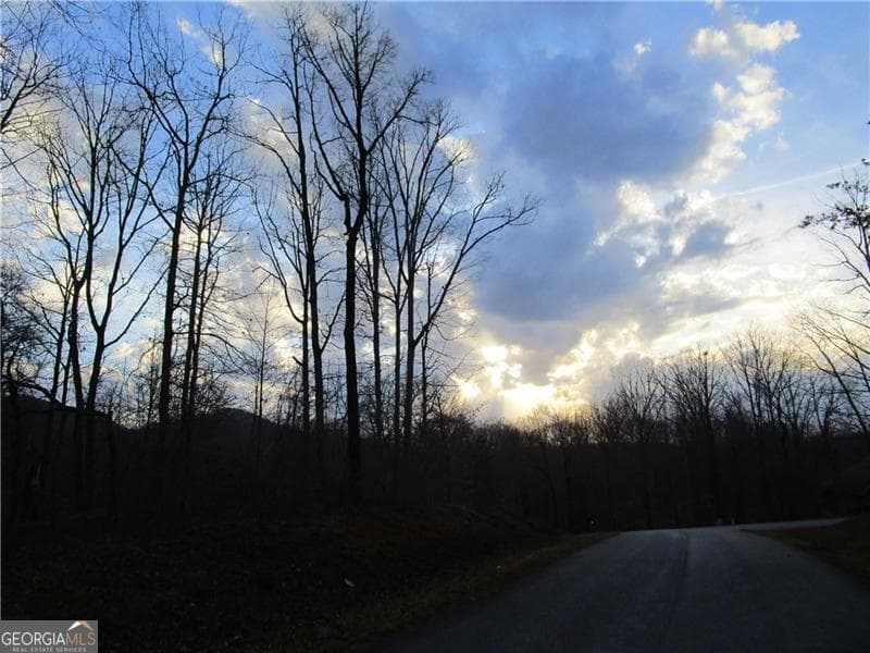 residential lot for sale at LOT 23 Long Mountain Trail, Cleveland, GA 30528 — photo 9