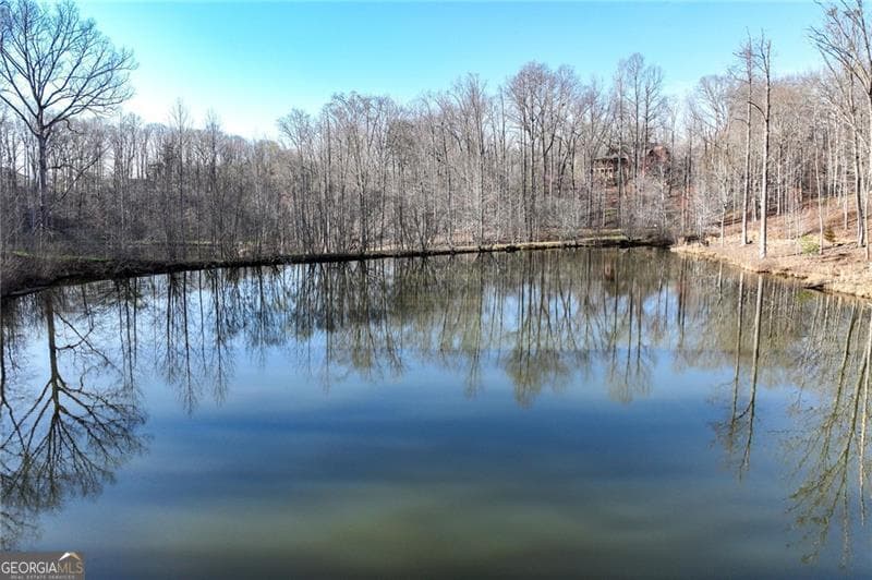 residential lot for sale at LOT 23 Long Mountain Trail, Cleveland, GA 30528 — photo 10