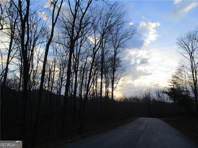 residential lot for sale at LOT 23 Long Mountain Trail, Cleveland, GA 30528 — photo 8