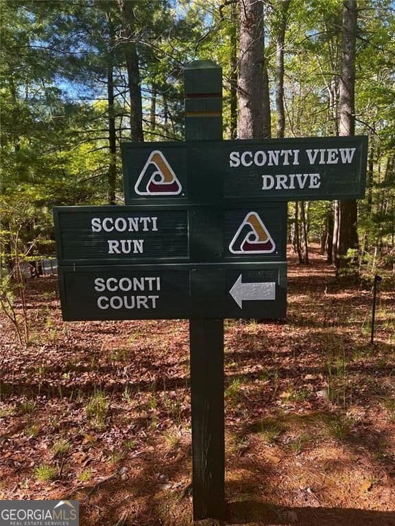 unimproved land for sale at 2658 Sconti View Drive, Big Canoe, GA 30143 — photo 7