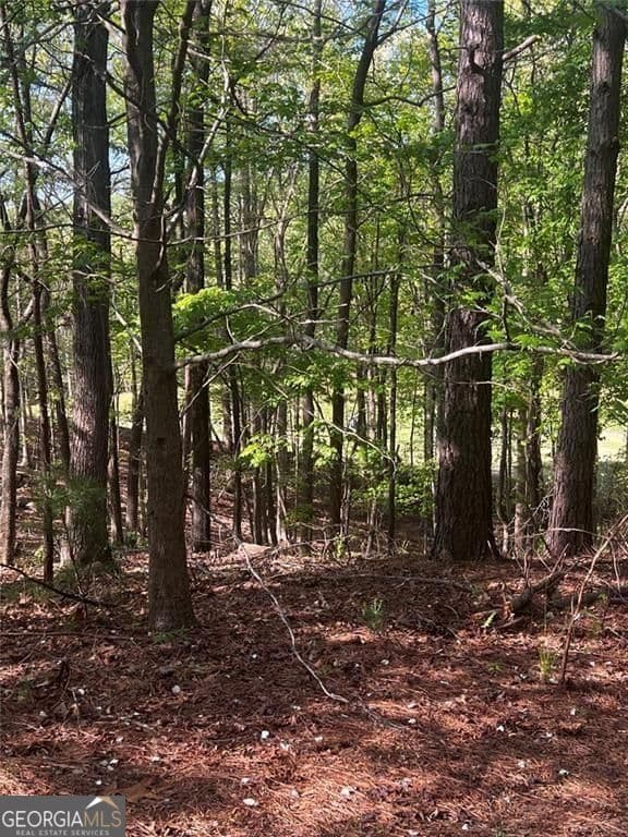 unimproved land for sale at 2658 Sconti View Drive, Big Canoe, GA 30143 — photo 9
