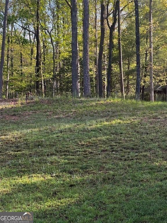 unimproved land for sale at 2658 Sconti View Drive, Big Canoe, GA 30143 — photo 10
