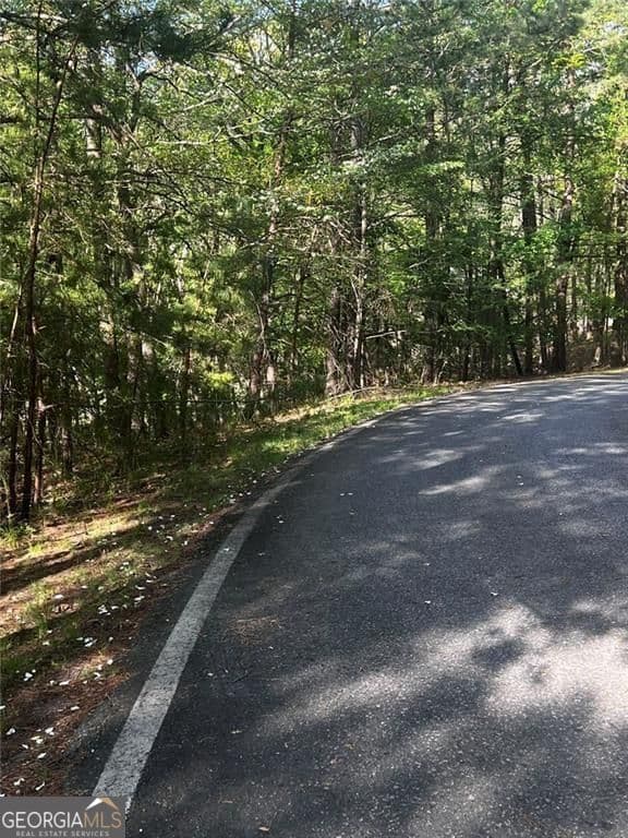 unimproved land for sale at 2658 Sconti View Drive, Big Canoe, GA 30143 — photo 8