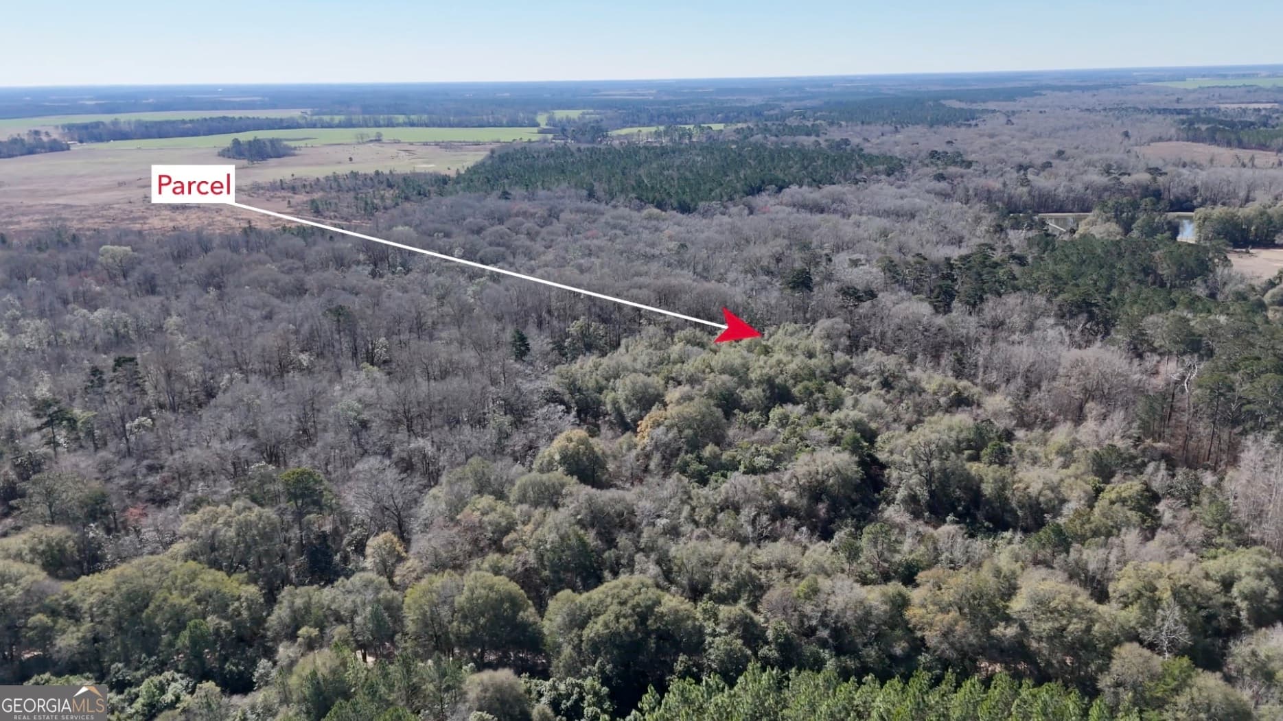 unimproved land for sale at 0 Highway 90, Byromville, GA 31007 — photo 2